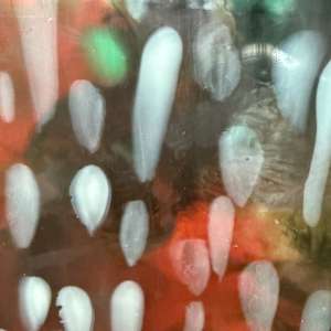 A Song Of Summer by Helen Keen  Image: Closeup 