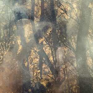 Intrepid by Helen Keen  Image: Closeup 