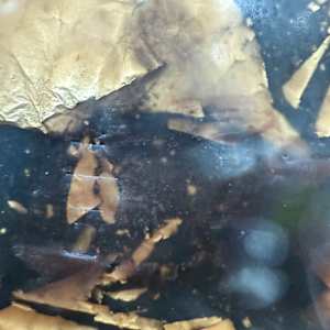 Invested by Helen Keen  Image: Closeup 