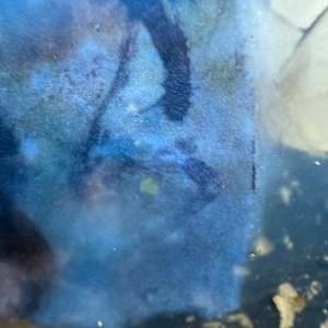 Waterbody (i) by Helen Keen  Image: Closeup 