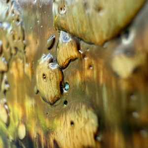 Lace Of Being (i) by Helen Keen, Image 6.