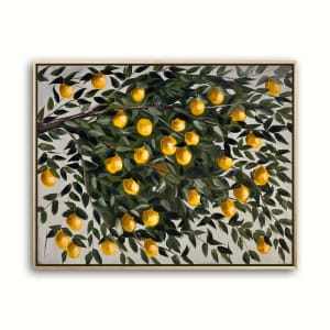 Lemon Tree #12 | Framed by amanda rubenstein 