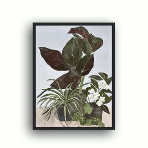 Pot Plants | Framed by amanda rubenstein 