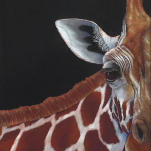 PatternEyes Series - Giraffe by Lori Corbett