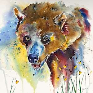 Bernie Bear by Lynn Shield