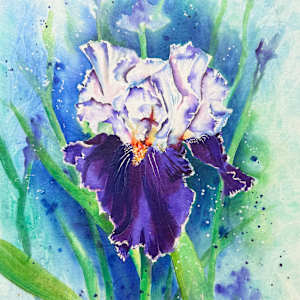 Dream of You by Lynn Shield