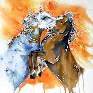 Fire and Fury by Lynn Shield