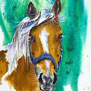 Goldie by Lynn Shield