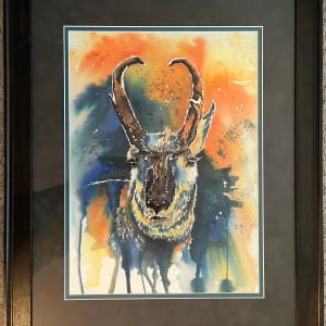 Pronghorn by Lynn Shield  Image: Framed artwork