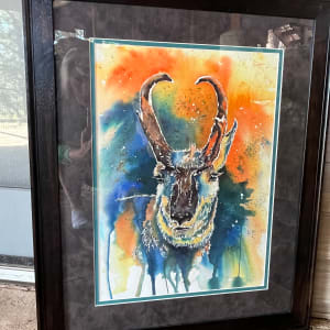 Pronghorn by Lynn Shield  Image: Framed artwork