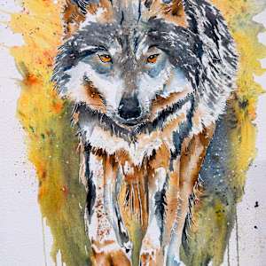 The Huntress by Lynn Shield, Image 1.