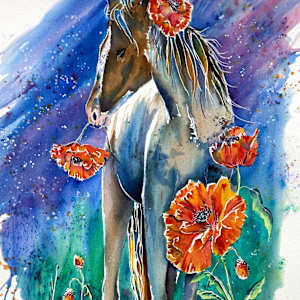 Midnight Poppy by Lynn Shield