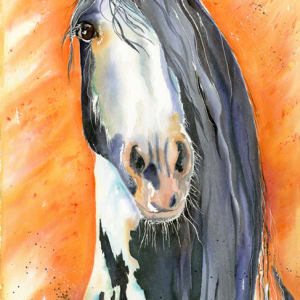 King Rocky by Lynn Shield