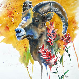 Rugged Beauy by Lynn Shield