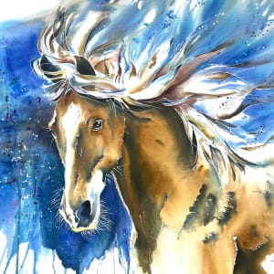 Windy by Lynn Shield