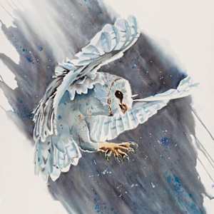In for a Landing by Lynn Shield, Image 1.