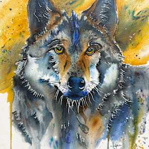 Wolf's Gaze by Lynn Shield