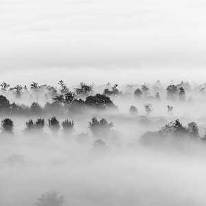 The Earth Disappeared in Layers by Ruth Delaney, Image 1.