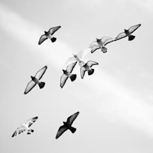 Leaving is its own kind of longing by Ruth Delaney, Image 1.