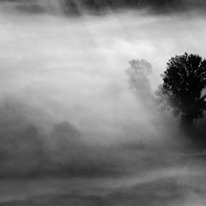 Morning Opened Slowly and Without Certainty by Ruth Delaney, Image 1.