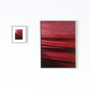 Red Fold I by Francis Reynolds 