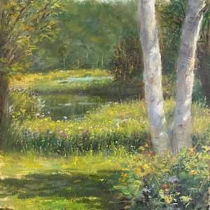 Birch Trees at Landgrove, Vermont by Denise Franzino