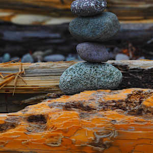 Driftwood and Stones, Goldsmiths Inlet by Susan Saunders