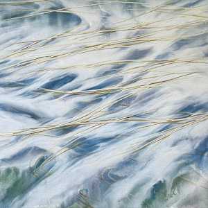 Shifting Winds by Dawn Lee