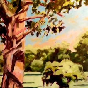 Summer Studio View by Lully Schwartz