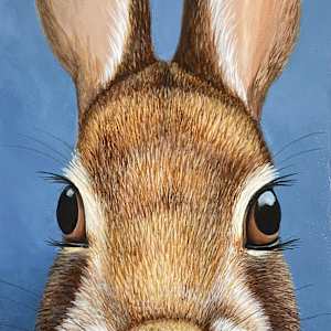 Bright Eyes by J Elaine Senack