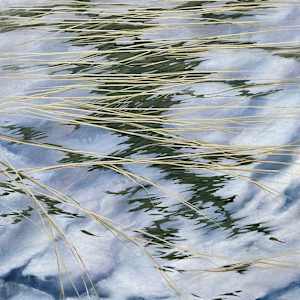 Drifting Through Shadows by Dawn Lee