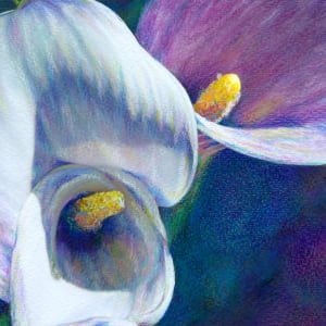 Calla Dreams by Eileen Baumeister McIntyre, Image 5.