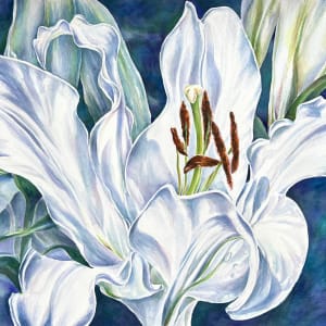 Casa Blanca by Eileen Baumeister McIntyre