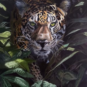 Jaguar Hunting by Pamela Conley