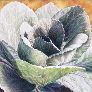 Cabbage Bloom by Eileen Baumeister McIntyre