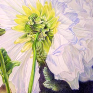 Dahlia by Eileen Baumeister McIntyre