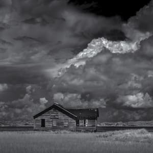 Abandoned Boathouse - Southampton, New York by Michael Donnelly