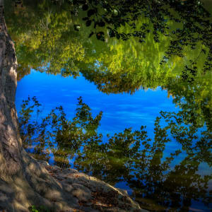 Daydream by Michael Donnelly