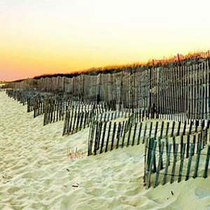 Diggiong for Treasure by Mary McKenna Ridge