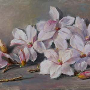 Magnolia Rhapsody by Denise Franzino