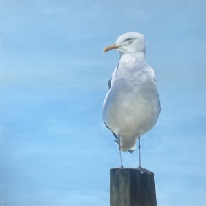 Seagull II by Gia Horton