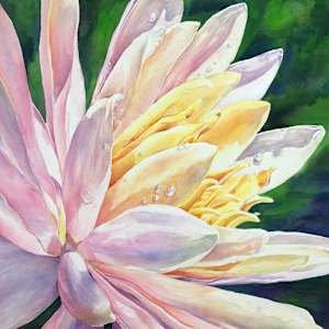 Hope by Eileen Baumeister McIntyre