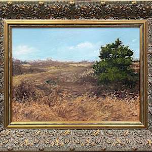 Barrens by David Peikon