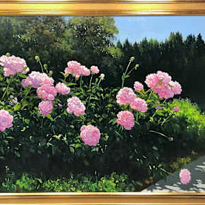 Peonies by David Peikon