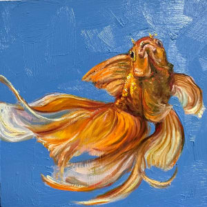 Goldfish Study I by Jennifer Hannaford