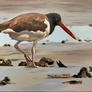 Long Island Oyster Catcher by Stephanie Erdel-Laws