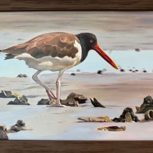 Long Island Oyster Catcher by Stephanie Erdel-Laws 