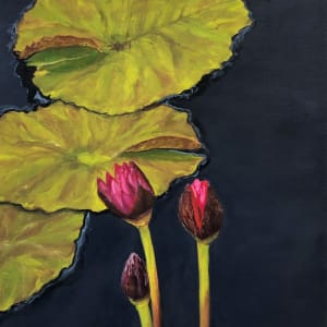 Nymphaea Hot Pink by Hillary Serota Needle