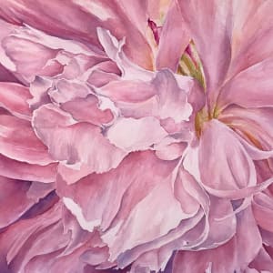 Pink Peony by Eileen Baumeister McIntyre