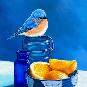 Sun Kissed by J Elaine Senack